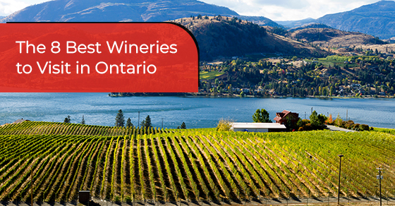 The 8 Best Wineries to Visit in Ontario