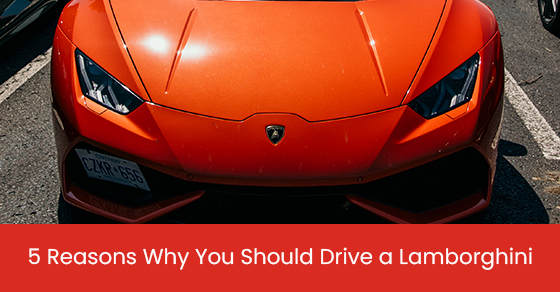 5 reasons why you should drive a lamborghini
