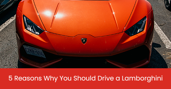 5 Reasons Why You Should Drive a Lamborghini