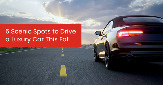 5 Scenic Spots to Drive a Luxury Car This Fall